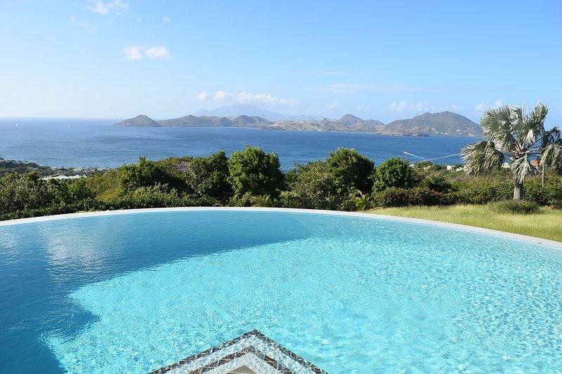 Luxurious infinity pool overlooking scenic ocean views and lush tropical landscape, perfect for relaxation and enjoying island living.