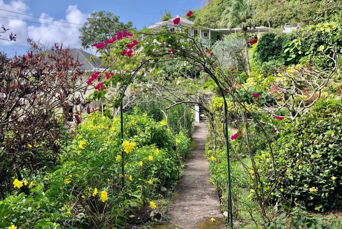 Lush tropical garden with vibrant flowers and a charming pathway leading to a hillside home in Nevis, showcasing beautiful landscaping and outdoor living spaces.