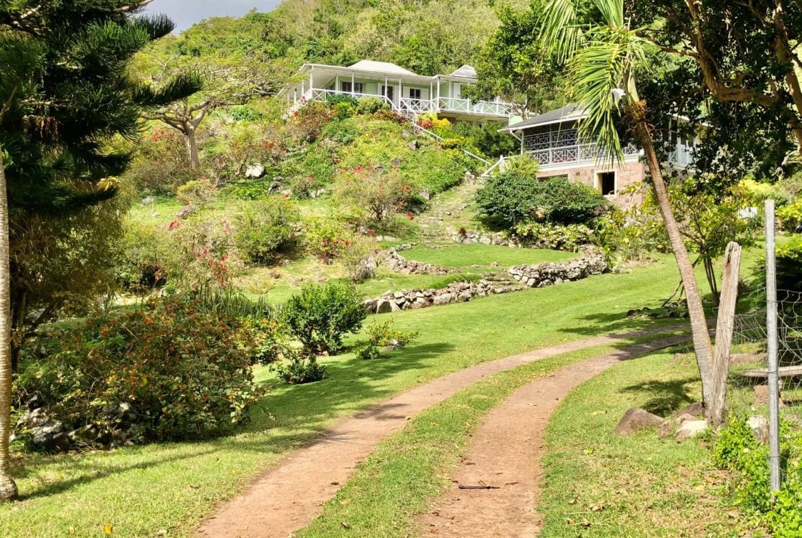 Lush tropical garden with a dirt pathway leading to scenic luxury homes on a hillside, featuring vibrant greenery and panoramic views, ideal for real estate in Nevis by 17 Degrees North Realtors.