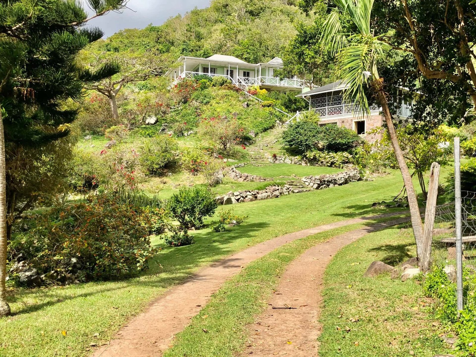 Lush tropical garden with a dirt pathway leading to scenic luxury homes on a hillside, featuring vibrant greenery and panoramic views, ideal for real estate in Nevis by 17 Degrees North Realtors.