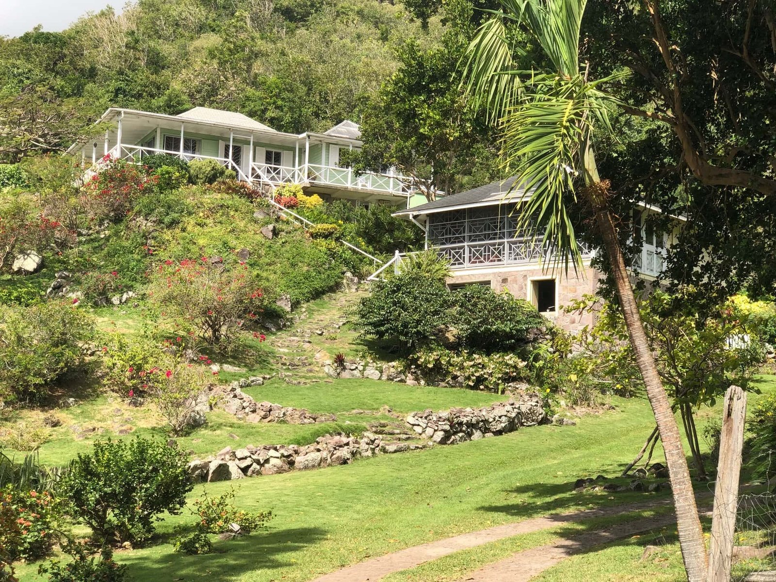 Lush hillside view of a charming property with tropical landscaping, gardens, and multiple cottages, perfect for luxury real estate, vacation homes, or investment properties in Evis.
