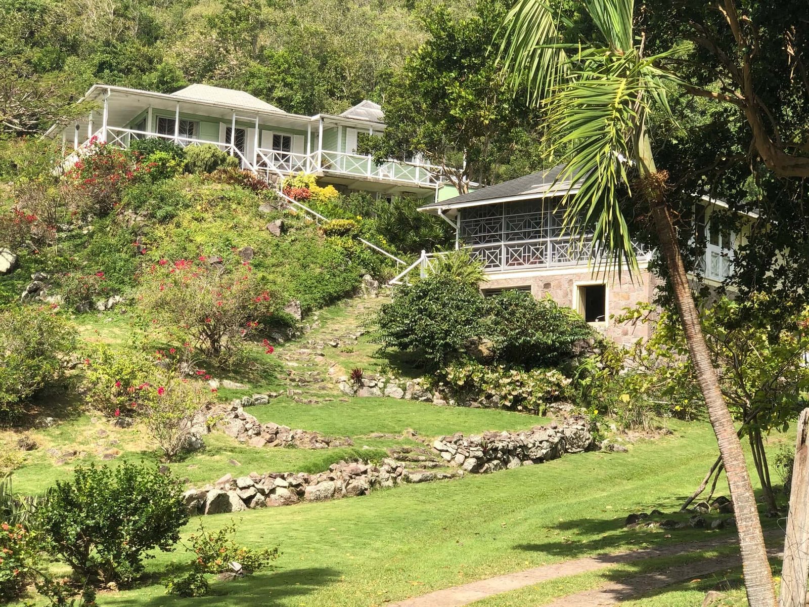 Lush tropical hillside property with scenic views, featuring charming green and white homes, surrounded by vibrant plants and trees in a serene, natural setting.
