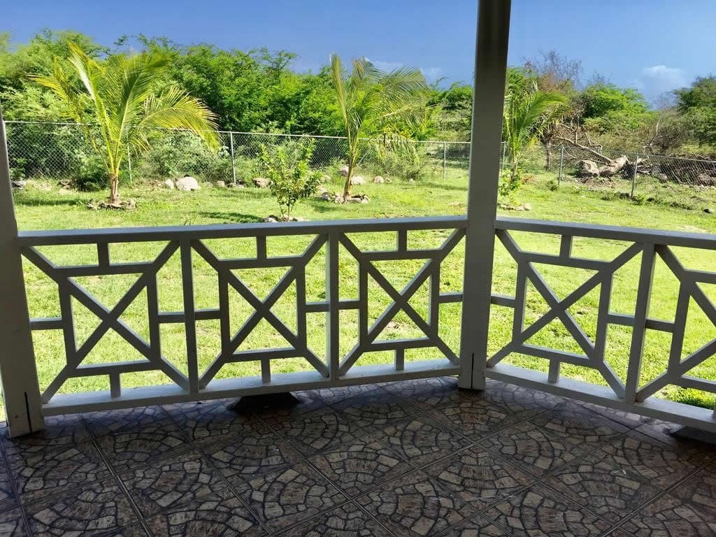 Lush backyard with tropical palm trees, surrounded by a chain-link fence, viewed from a covered porch with decorative railing, ideal for family relaxation and outdoor activities in a residential property.