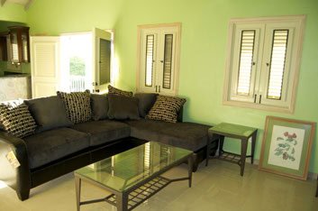 Modern living room with black sectional sofa, green walls, and large windows offering natural light — a perfect home setup in Evis.