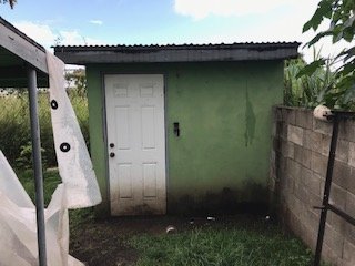 Green outdoor storage shed with white door and surrounding greenery, situated in a residential backyard.