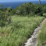 Overgrown grassy path leading to scenic ocean view, showcasing lush greenery and coastal landscape in Nevis, ideal for real estate and land development opportunities by 17 Degrees North Realtors.