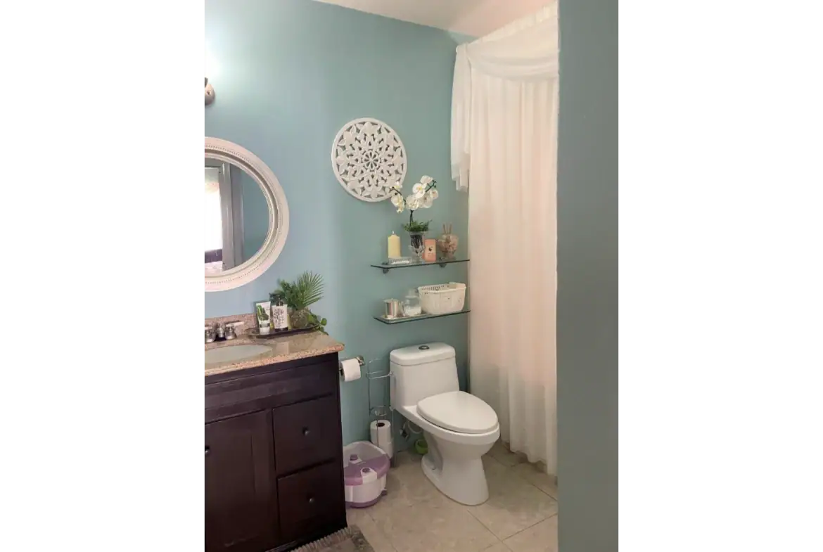 Aesthetic bathroom with light blue walls, dark wood vanity, decorative mirror, white toilet, shelving with orchids and accessories, and cozy curtain – ideal for home staging or real estate listings.